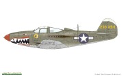 P-39LN36