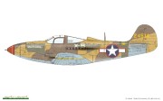 P-39LN37