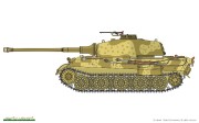 Tiger II0158