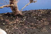 MIG Europe Dry Mud (4)