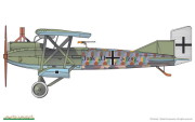 Junkers J I (10)