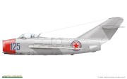 MiG-15 Royal Class (17)