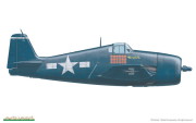 Grumman F6F-5 Hellcat (9)