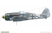 FW190 A-8 Royal Class_32