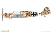 Bf 108_09