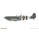 Spitfire Mk IXc (15)
