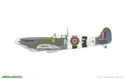 spitfire-mk-ix-royal-class-46